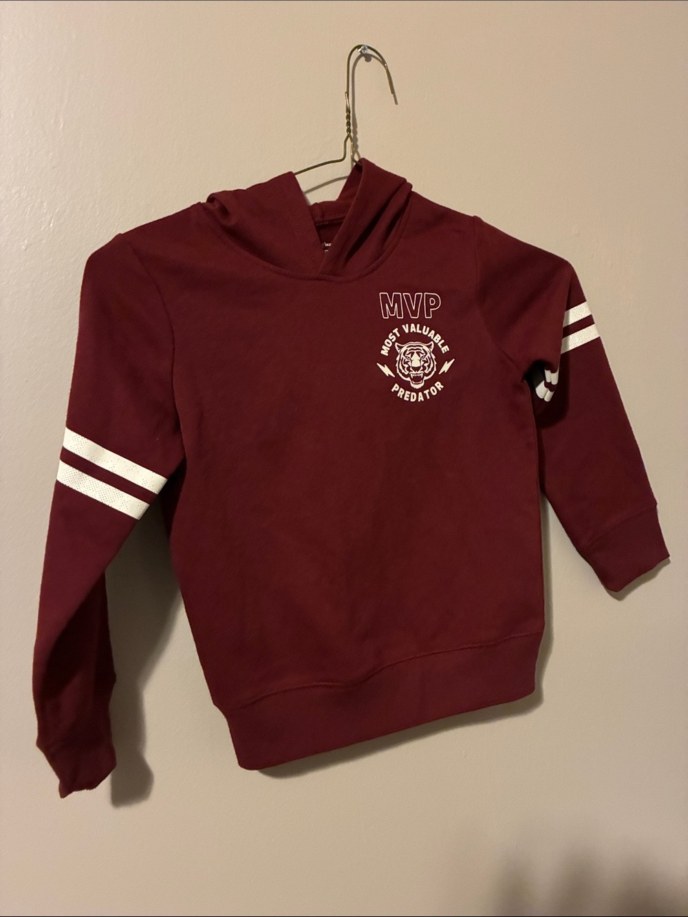 jumping beans Maroon Turtleneck Sweater with White Stripes
